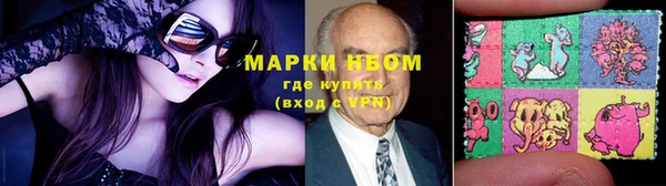 прущие грибы Ростов