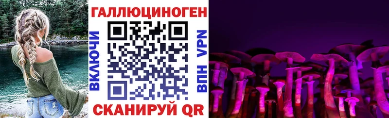 Галлюциногенные грибы Cubensis  Купить  Сокол 